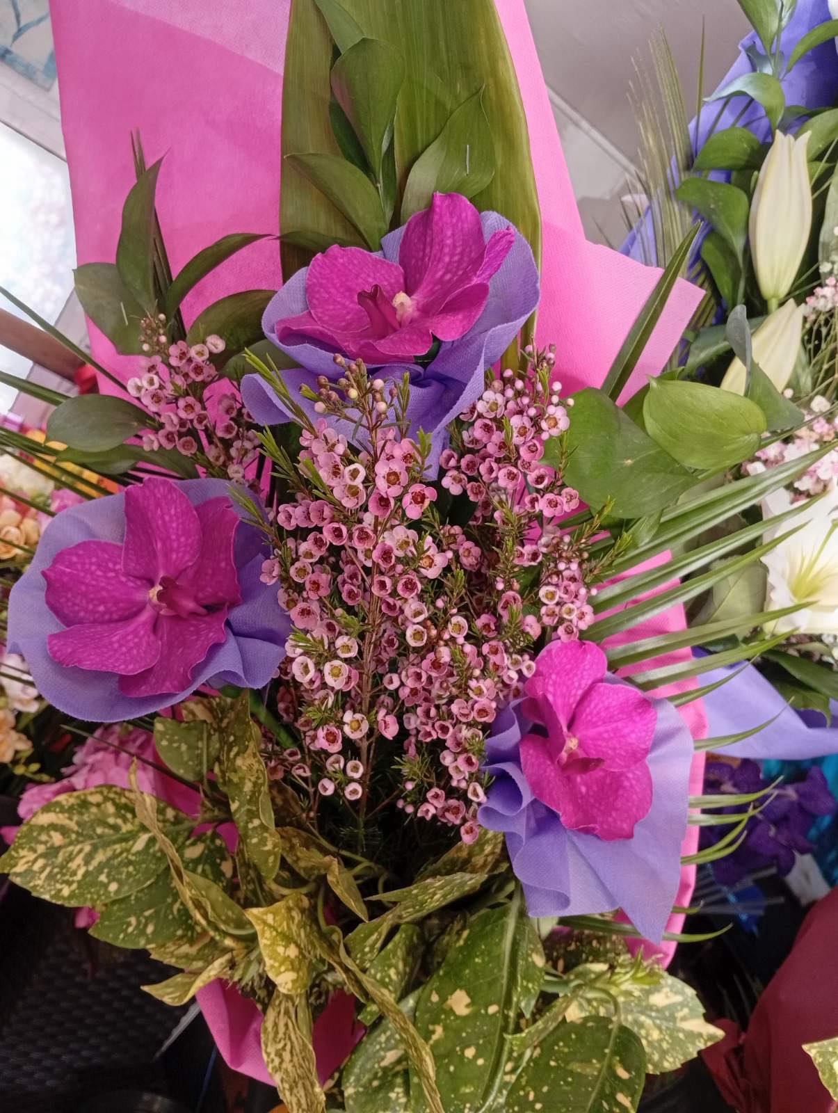 Лилав акцент