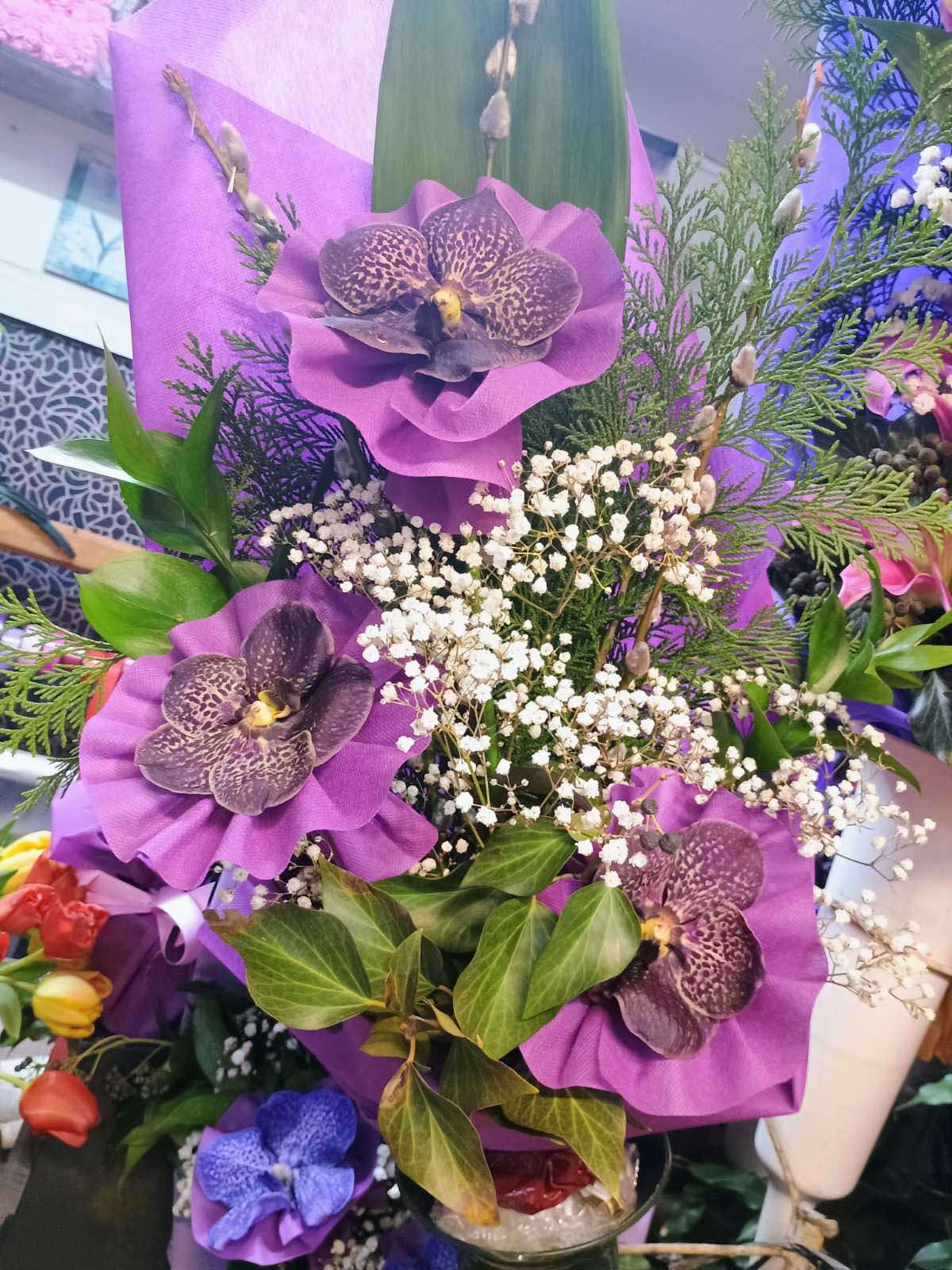 Лилава орхидея