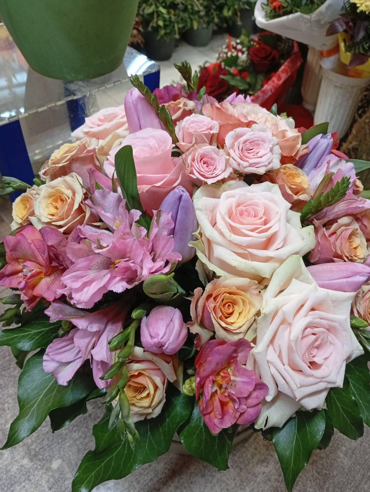 Прасковен сън