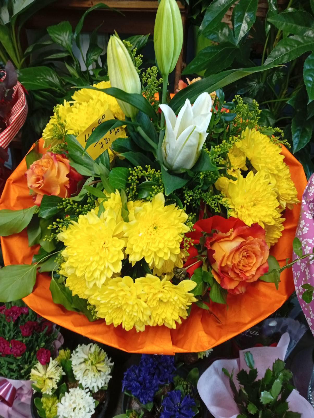 Слънчева усмивка